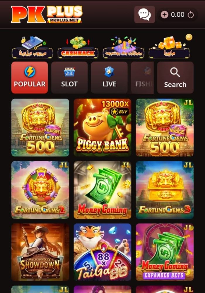 PKPLUS Game