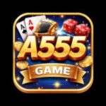 A555 game