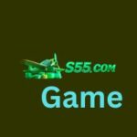 S55 Game