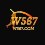 W567 Game