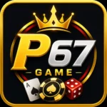 P67 Game