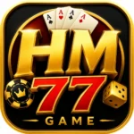 HM77 Game